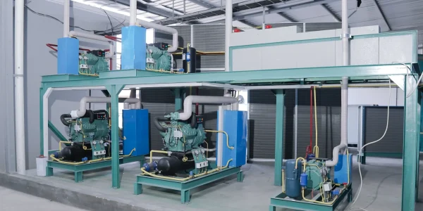 Cold storage 250 ton